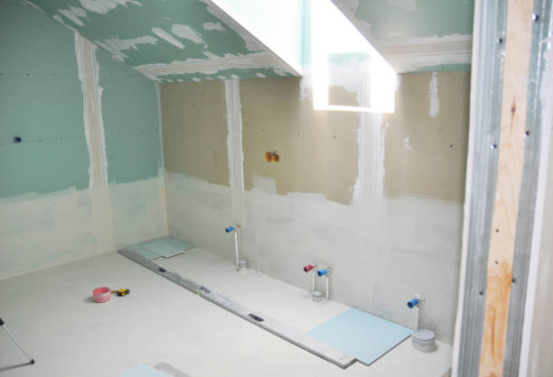 Best Black Mold Removal  in Josephine, TX