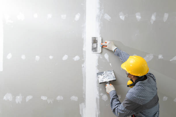 Best Mold Odor Removal Services  in Josephine, TX
