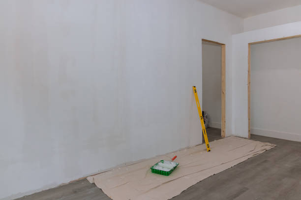 Asbestos and Lead Testing During Mold Inspection in Josephine, TX