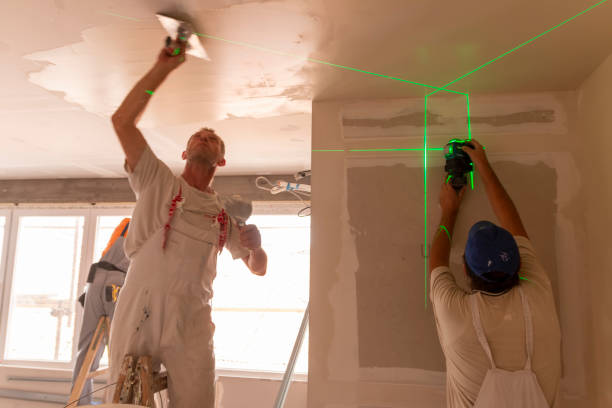 Professional Mold Removal in Josephine, TX