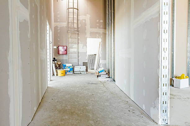 Best Biohazard Mold Removal  in Josephine, TX